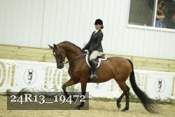 24R13_19472 thumbnail