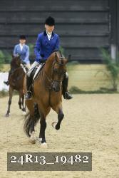 24R13_19482 thumbnail