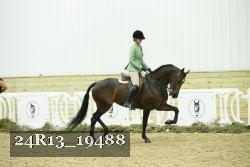 24R13_19488 thumbnail