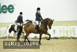 24R13_19489 thumbnail