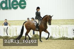 24R13_19492 thumbnail