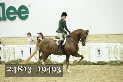 24R13_19493 thumbnail