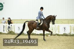24R13_19495 thumbnail