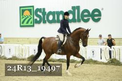 24R13_19497 thumbnail