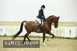 24R13_19498 thumbnail