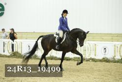 24R13_19499 thumbnail