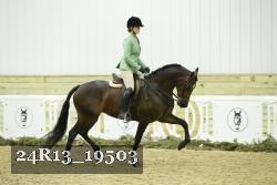 24R13_19503 thumbnail