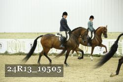 24R13_19505 thumbnail