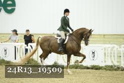 24R13_19509 thumbnail