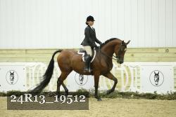 24R13_19512 thumbnail