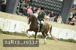 24R13_19532 thumbnail