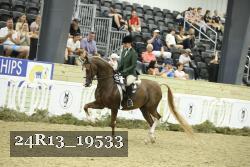 24R13_19533 thumbnail