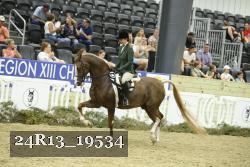 24R13_19534 thumbnail