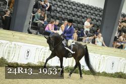 24R13_19537 thumbnail