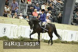 24R13_19538 thumbnail