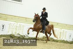 24R13_19577 thumbnail