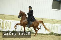 24R13_19578 thumbnail