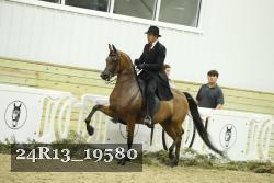 24R13_19580 thumbnail