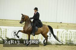 24R13_19582 thumbnail