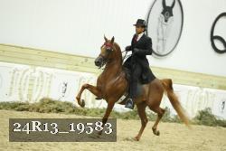 24R13_19583 thumbnail