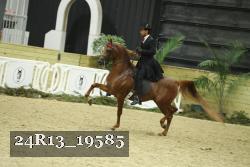 24R13_19585 thumbnail