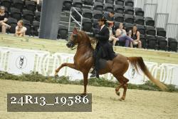 24R13_19586 thumbnail