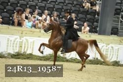24R13_19587 thumbnail