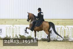 24R13_19588 thumbnail