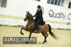 24R13_19589 thumbnail