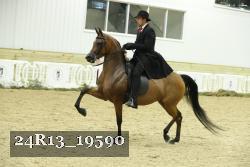 24R13_19590 thumbnail