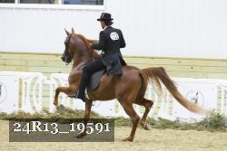24R13_19591 thumbnail