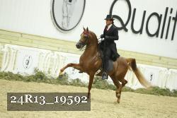 24R13_19592 thumbnail