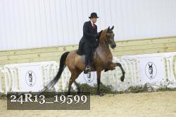 24R13_19599 thumbnail
