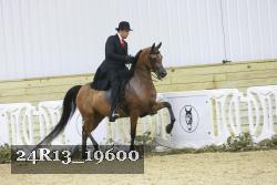 24R13_19600 thumbnail