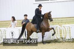 24R13_19601 thumbnail