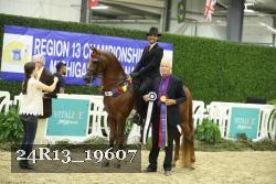24R13_19607 thumbnail