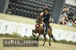 24R13_19610 thumbnail