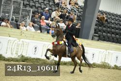 24R13_19611 thumbnail