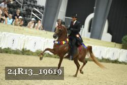 24R13_19619 thumbnail