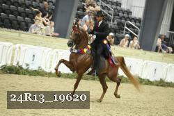 24R13_19620 thumbnail