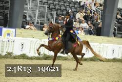 24R13_19621 thumbnail