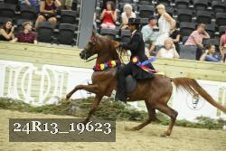 24R13_19623 thumbnail