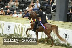 24R13_19624 thumbnail
