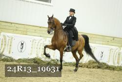 24R13_19631 thumbnail