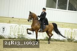 24R13_19632 thumbnail