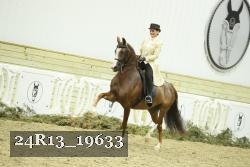 24R13_19633 thumbnail