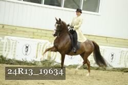 24R13_19634 thumbnail