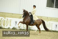 24R13_19635 thumbnail