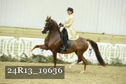 24R13_19636 thumbnail