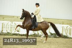 24R13_19637 thumbnail